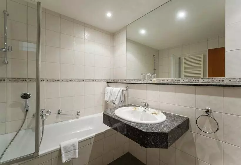 Logis Hotel Restaurant Dimmer