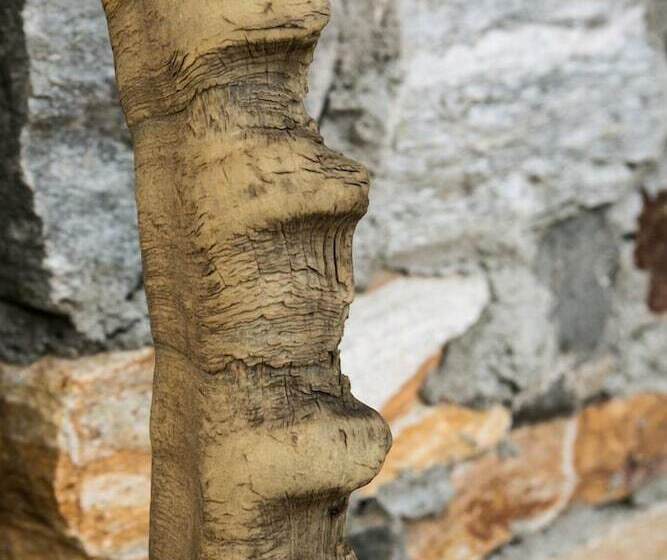 בית מלון כפרי Restaurant La Barme