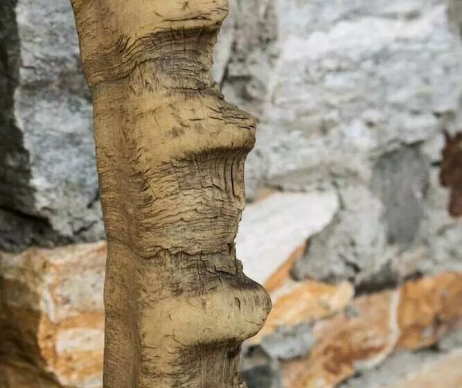 בית מלון כפרי Restaurant La Barme