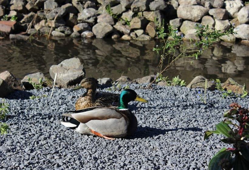 בית מלון כפרי Restaurant  T Klokje