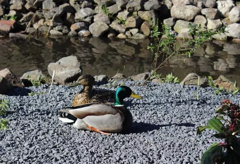 בית מלון כפרי Restaurant  T Klokje