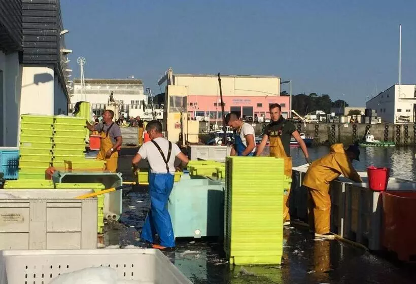 Appartement Design Iii   Port Du Rosmeur   Douarnenez