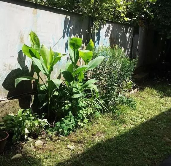 پانسیون Beruka Guest House