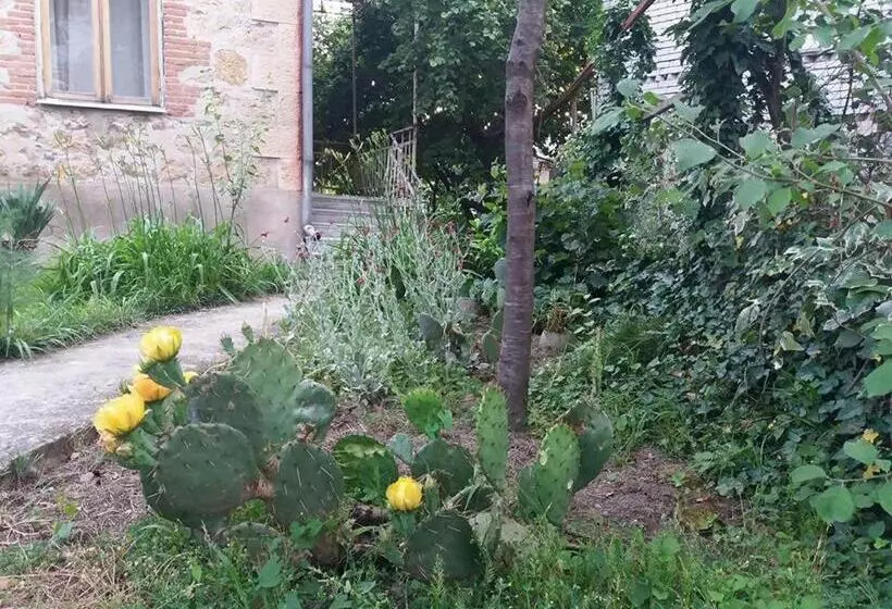 پانسیون Beruka Guest House