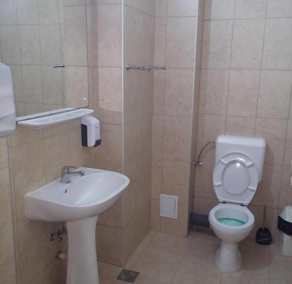 Pensiunea Casa Tepes