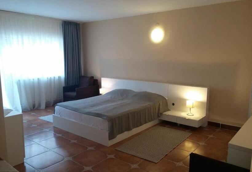 Pensiunea Casa Tepes