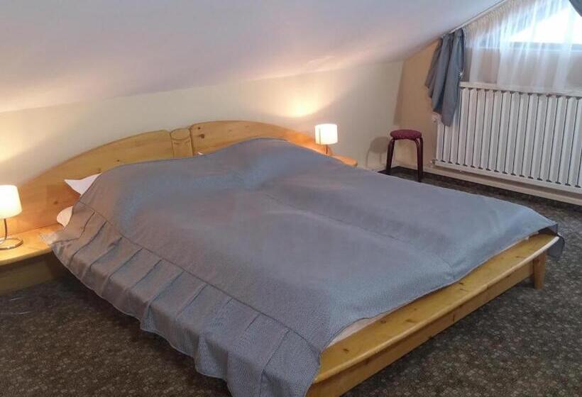 Pensiunea Casa Tepes