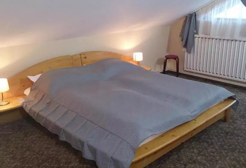 Pensiunea Casa Tepes