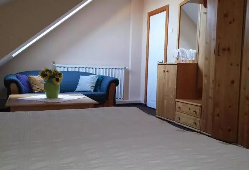 Pensiunea Casa Tepes