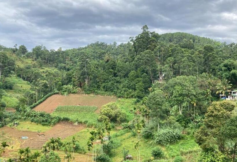 צימר Silent Nest