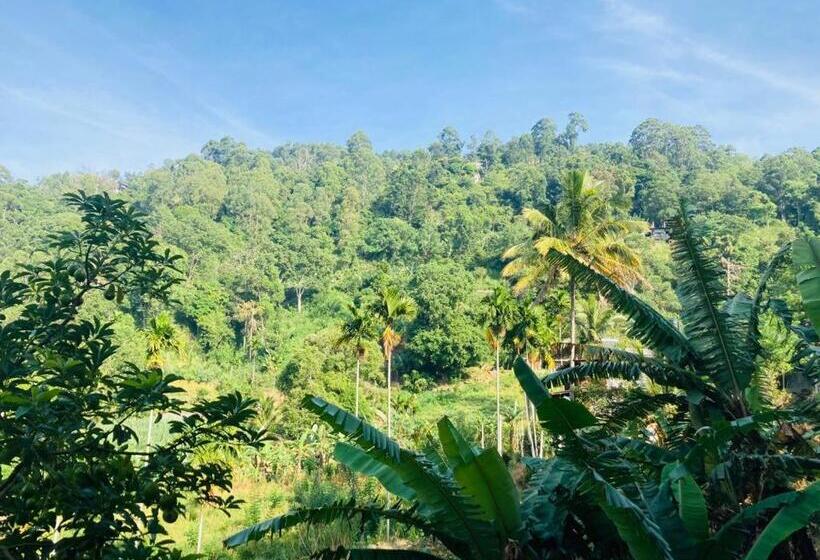 צימר Silent Nest