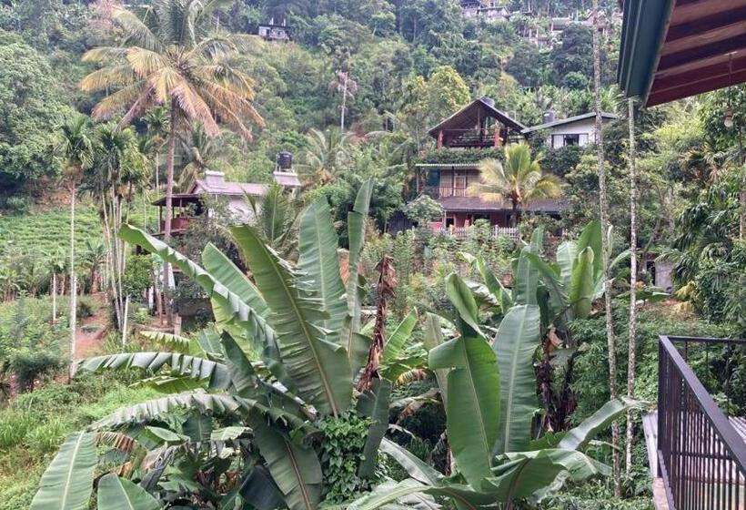 צימר Silent Nest