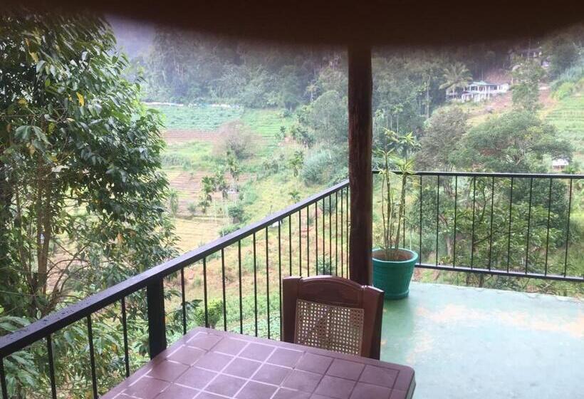 צימר Silent Nest