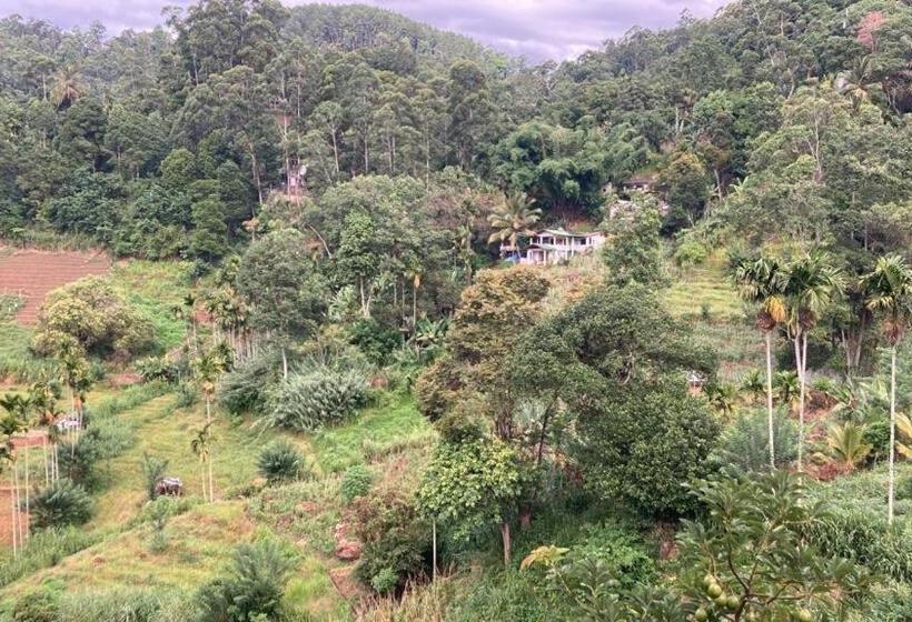 צימר Silent Nest