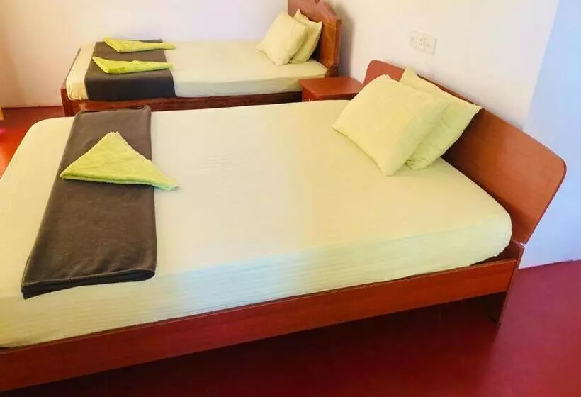 تختخواب و صبحانه Silent Nest