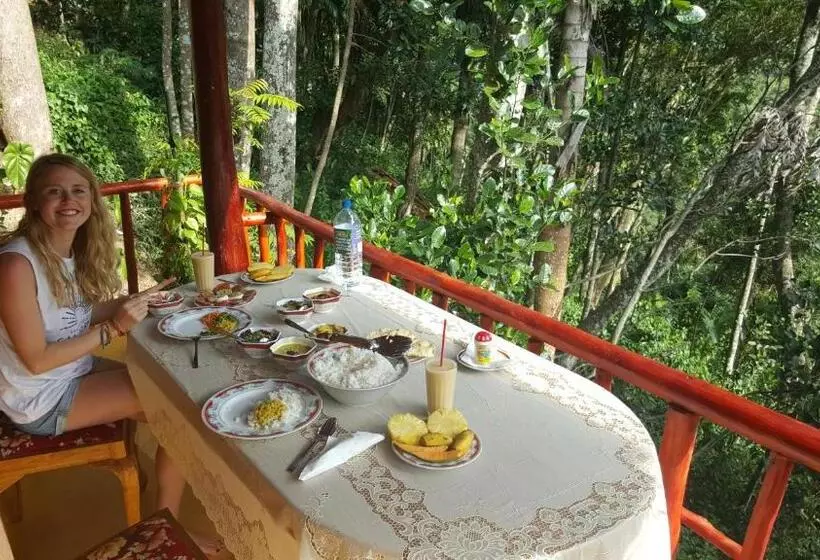 تختخواب و صبحانه Silent Nest