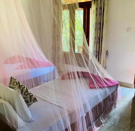 تختخواب و صبحانه Silent Nest