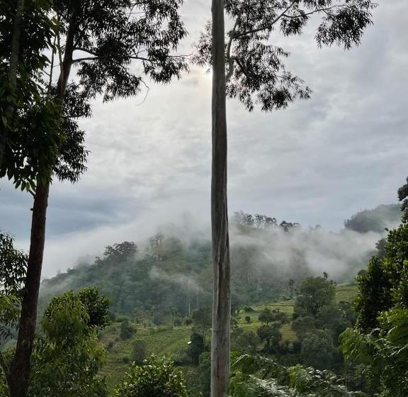 צימר Silent Nest