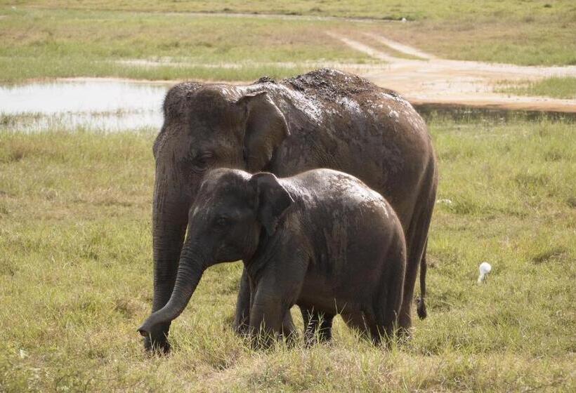 פנסיון Thisara Guest House