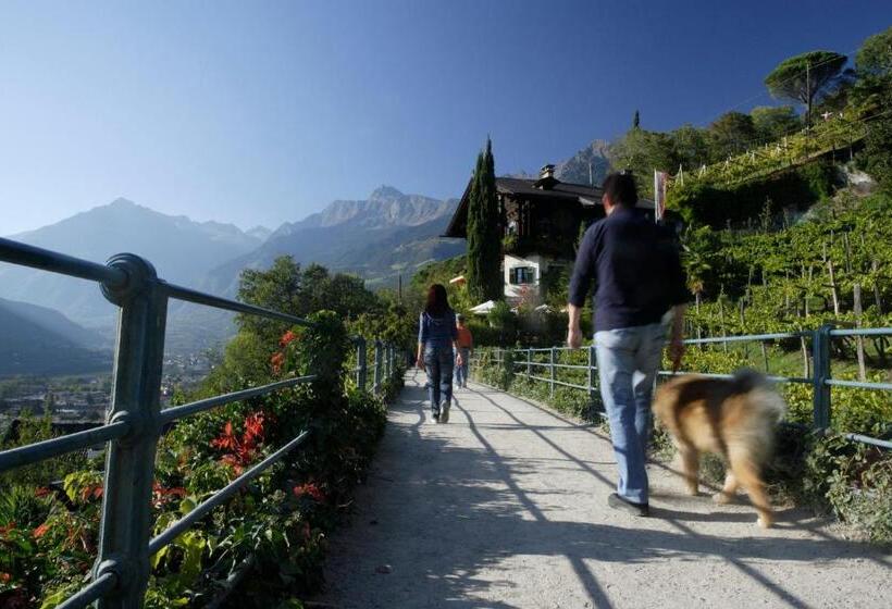 Pension Verdinserhöhe