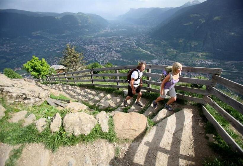 Pension Verdinserhöhe