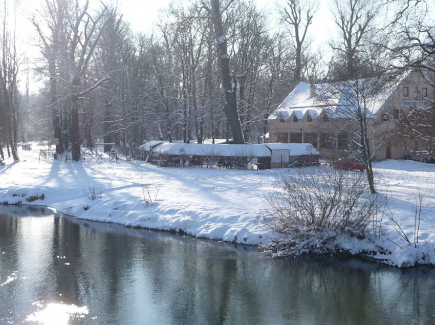 Engler Hotel-Étterem