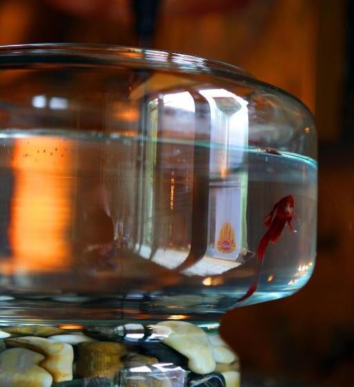 Logis Hotel Restaurant Auberge Du Peras