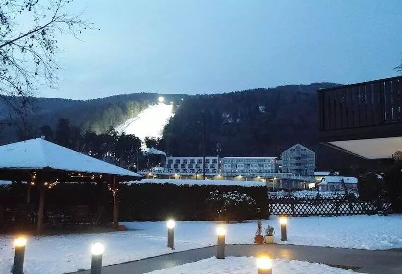 Boutique Hotel Pohorje