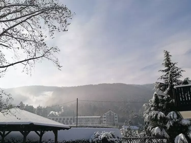 Boutique Hotel Pohorje