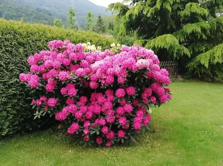 Boutique Hotel Pohorje