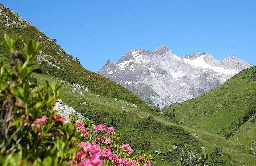 Отель Hôtel La Grange Aux Marmottes