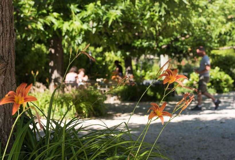 酒店 Logis Hôtel Castel Mouisson