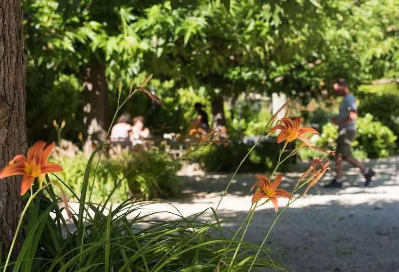 酒店 Logis Hôtel Castel Mouisson