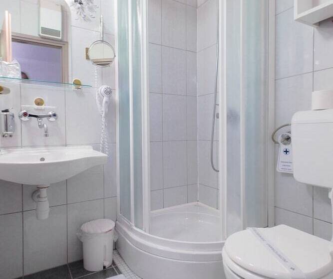 호텔 Pansion Zlatna Ribica