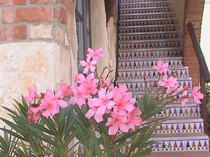 Hazienda Apartments   Ihr Neues Mediterranes Zuhause Auf Zeit   Für Ein Paar Tage Oder Monatelang