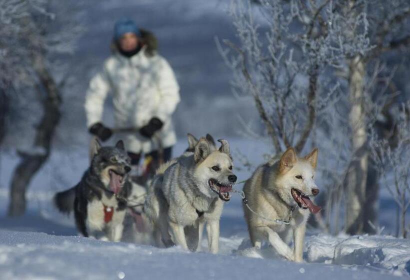 Hotel Vertshuset Røros