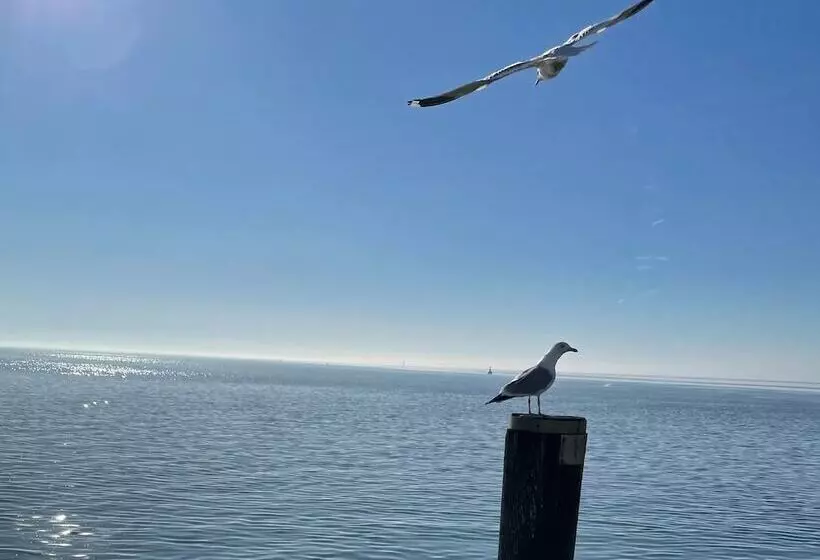 Paulsen S Landhotel Und Restaurant