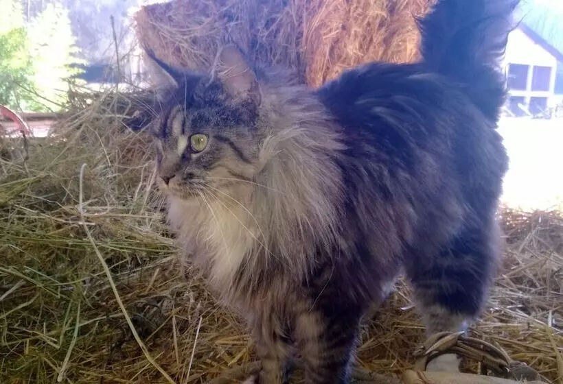 Agriturismo La.ti.mi.da