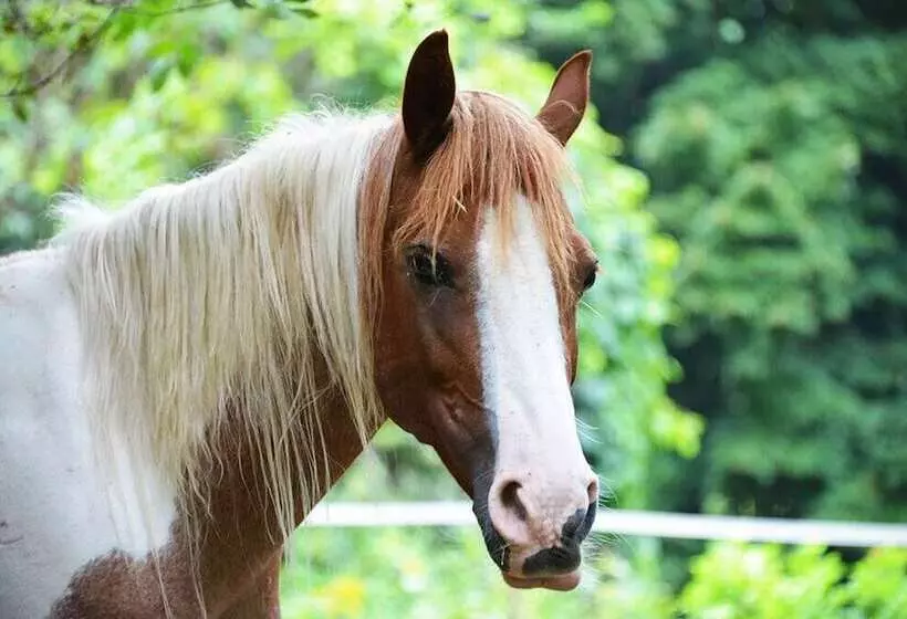 Agriturismo La.ti.mi.da