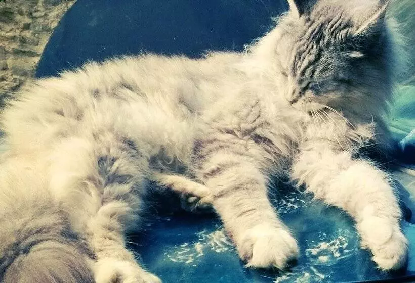 Agriturismo La.ti.mi.da