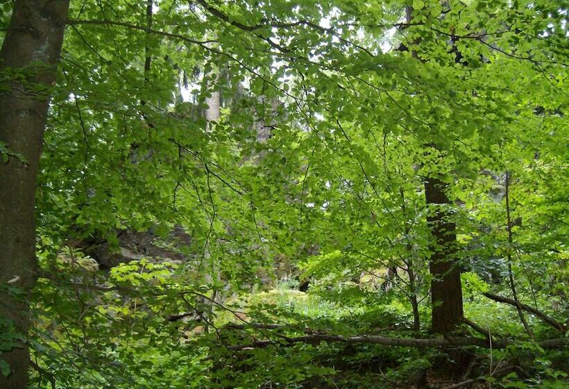 Bio Hotel Forellenhof