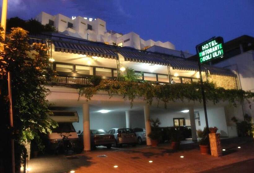 酒店 Degli Ulivi
