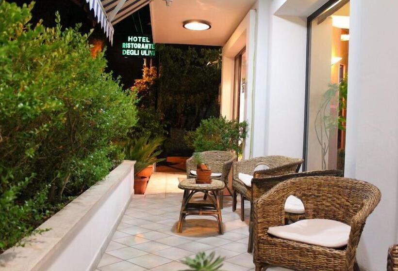 酒店 Degli Ulivi