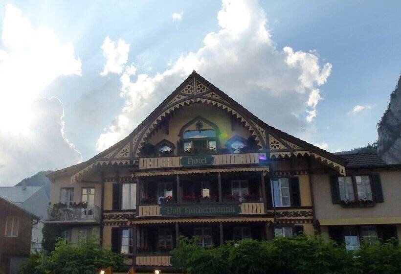 בית מלון כפרי Post Hardermannli