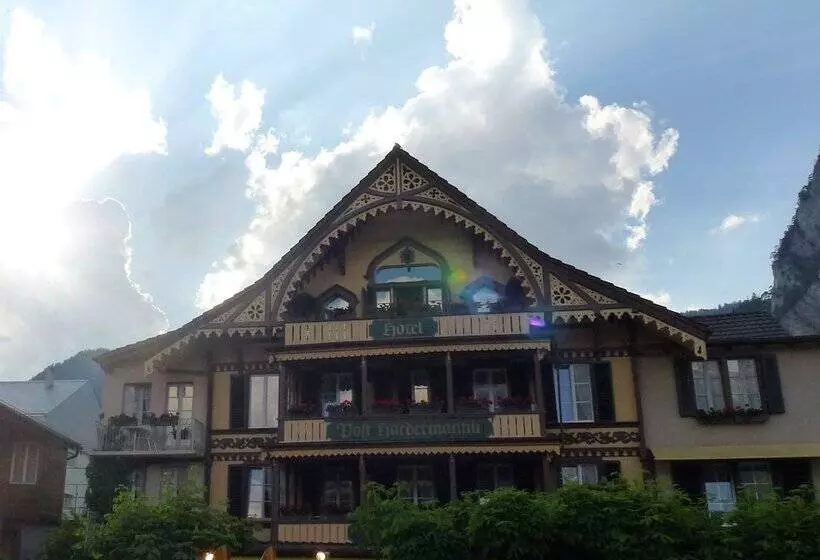 Hotel Post Hardermannli