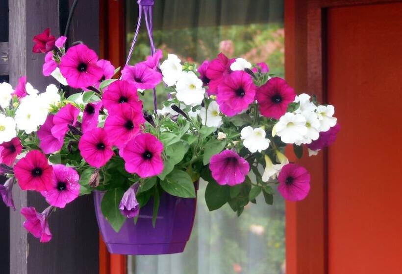 酒店 Restaurant Les Jardins D Epône