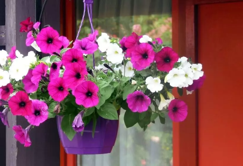 酒店 Restaurant Les Jardins D Epône