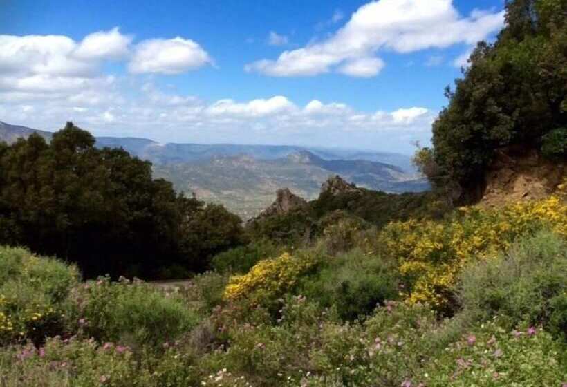 ホテル S'enis Monte Maccione