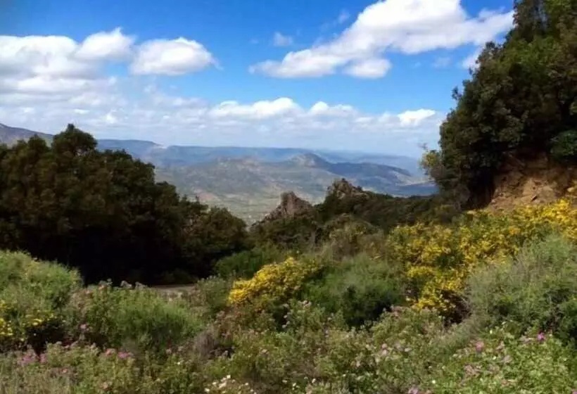 호텔 S'enis Monte Maccione