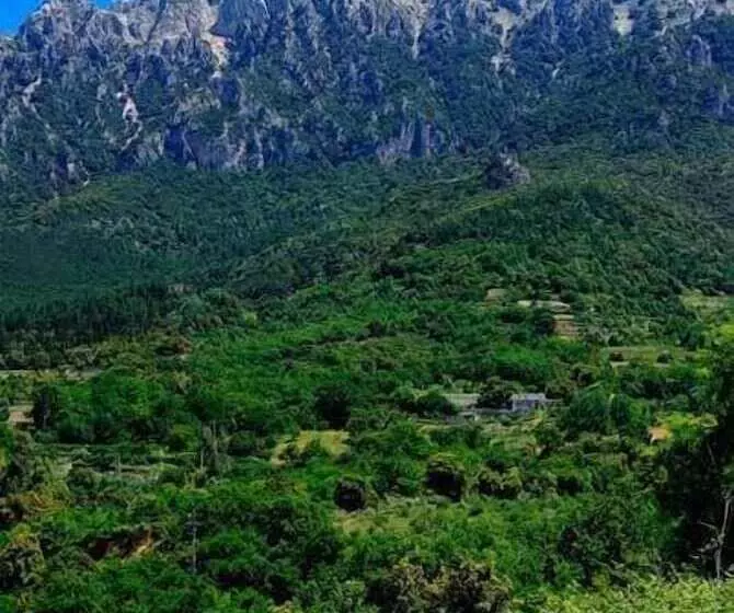 호텔 S'enis Monte Maccione